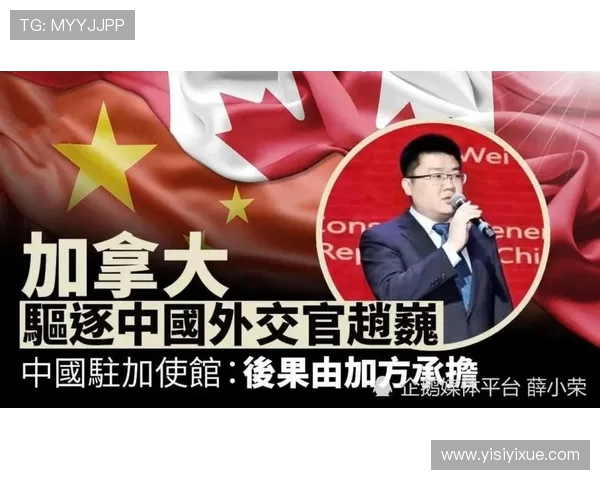 中国与加拿大精彩对决回放全程回顾与分析