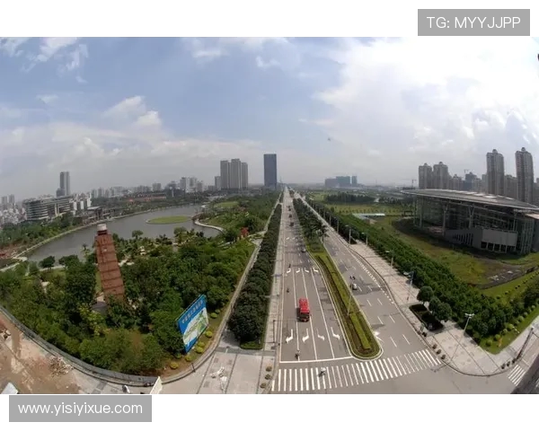 杭州乒乓球队的蜕变与崛起洲际杯背后的奋斗故事